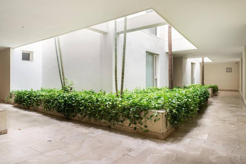 Apartamento Location & Comfort In The Walled