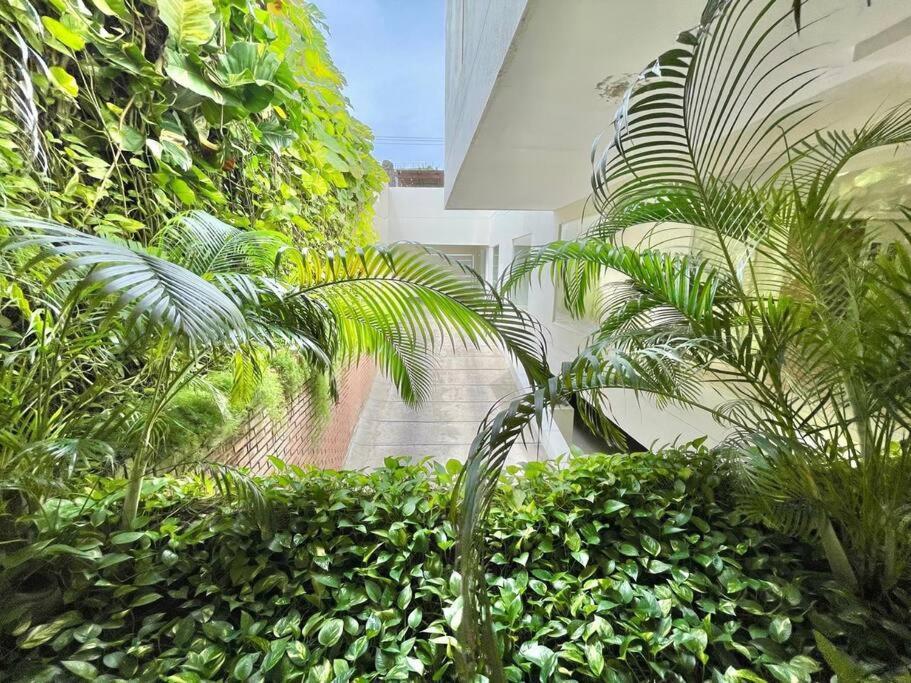 Location & Comfort In The Walled * Cartagena