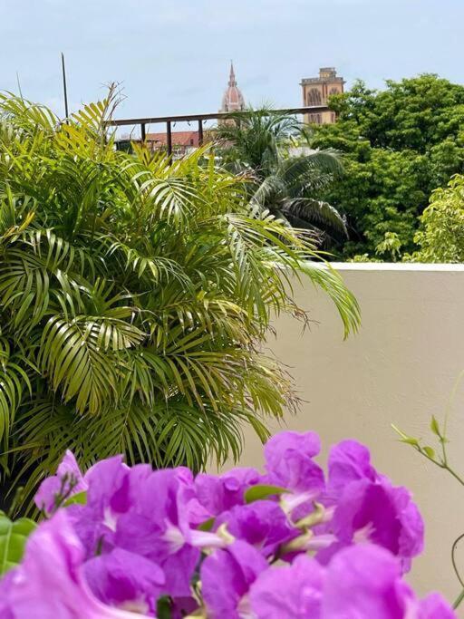 Location & Comfort In The Walled * Cartagena
